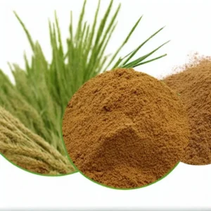 Barley Malt Extract Powder (100% Natural) High Altitude Tibet China