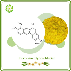 Berberine Hydrochloride CAS 633-65-8 Phellodendron Chinensis Extract Berberis Aristata Root Extract Berberine HCl Pharmaceutical Grade