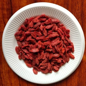 Berry Goji Wolfberry Fresh Goji Berries