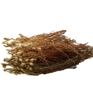 Bin Lang Hua Chinese Herbal Products Yong Chong Cao Health Foods Products for Diet Spices Seasoning