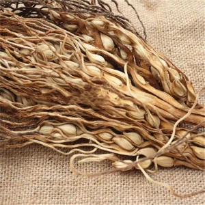 Bing Lang Hua China Herbal Flower Betel Nut Flower Dried Areca Flower For Medicine