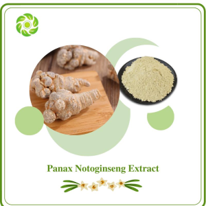 Biotech Natural Factory Direct Supply 50% Rg1 Saponins 10-80% Hemostasis Panax Notoginseng Extract