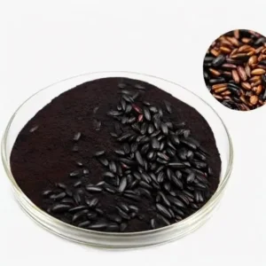 Black Rice Extract Powder Standardized to ≥25% Anthocyanins