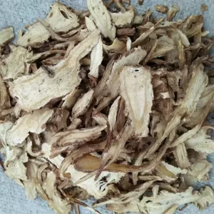 Botanical Ingredient Angelica Sinensis Wild Dried Root Premium Traditional Chinese Herb Stock