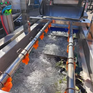 Bubble Cleaning Machine for Chinese Herbal Medicine and Edible Fungi