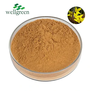 Bulk Chinese Traditional Herb Lian Qiao Nutritional Supplements Forsythia Suspensa Extract