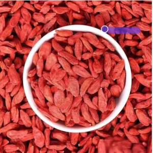 Bulk Health Goji Berries | High Quality Raw Dried Lycium Barbarum Bagged Tea & Sachet Packaging