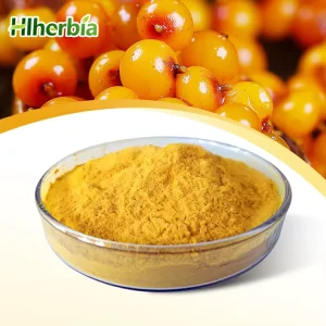 Bulk Natural Sea Buckthorn Fruit Powder