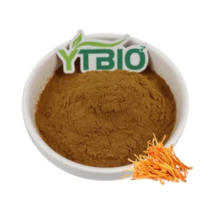 Bulk Price Nature Cordyceps Flowers Dried Cordyceps Militaris Mushroom