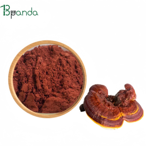Bulk Reishi Mushroom Ganoderma Lucidum Extract
