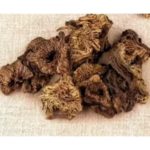 Bulk Supply Chinese Herbs Medicine Dried Cimicifugae Rhizoma