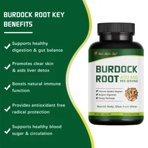 Burdock Root 450mg Capsules Natural Extract for Detox and Digestion Support OEM
