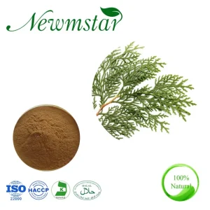 Cacumen Biotae Extract, Cacumen Platycladi Extract, Oriental Arborvitae Leaf Extract Powder