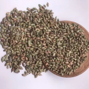 Cang Er Zi Chinese Raw Herb Medicine Siberian Cocklour Fruit
