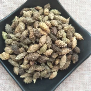 Cang Er Zi Factory Supplies Bulk Natural Herb Medicine Xanthium Sibiricum