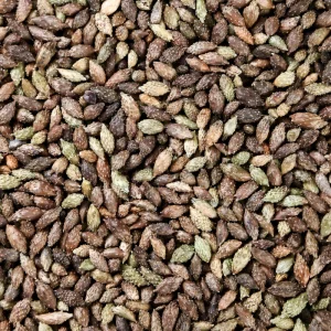 Cang Er Zi Traditional Chinese Medicine Herb Cocklebur Fruit for Health Care