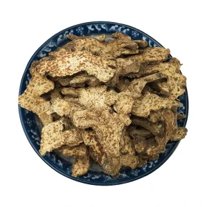 Cang Zhu Natural Herb High Quality Chinese Medicine Atractylodes Rhizome