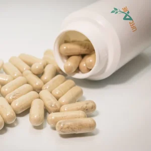 Capsules Tongkat Ali Extract Powder Tongkat Ali