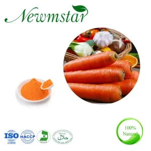Carrot PE Daucus Carota Powder Extract 10:1