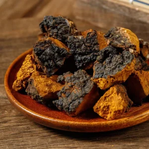 Chaga Mushroom Chinese Herbal Materials Inonotus Obliquus Health Food Products for Blood Sugar Diet