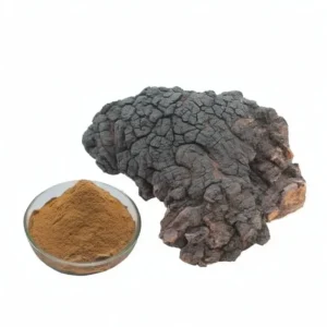 Chaga Mushrooms Price Vegan Chaga Mushroom Extract Powder Private Label Chaga Powder