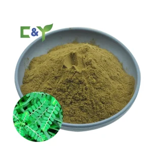 Chanca Piedra Extract Powder Bhumi Amla Extract Chanca Piedra Powder
