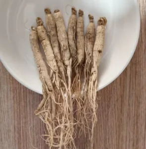 Changbai Mountain Dried Ginseng Organic Dried Panax Ginseng Root Chinese Gensing Adult Ginseng Supplement