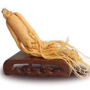Changbai Mountain Ginseng Wine Bottle Fresh Ginseng