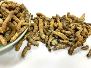 Chao Jiang Can Bombyx Batryticatus Dried Fried Chinese Traditional Herb