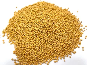 Chao Jie Zi Sinapis Semen Chinese Traditional Herb Natural Dried Fried Herbal Medicine