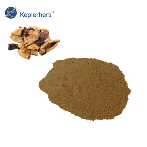 Chen Pi Extract 10 1 Tangerine Peel Citrus Reticulata TLC Herbal Digestive Qi Regulating Supplement OEM