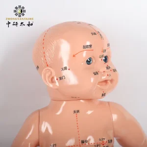 Child Doll Human Model Universal Acupoint Child Massage Simulation Model Baby