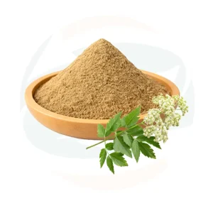 China Herb Supply High Quality Herb Plant Ligusticum Wallichii Extract Powder Rhizoma Chuanxiong Extract 4:1 10:1 TLC Powder
