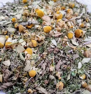 China Herbs Private Label Natural Health Herbal Blended Tea for UTI Clear