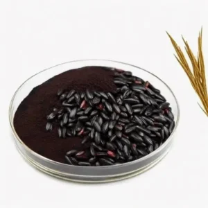 China Supply Black Rice Extracts Anthocyanin 5% Natural Powder Black Rice Seed Extract