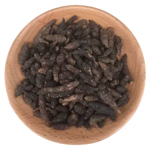 China Xiang Fu Zi Tiny Roots Removed Cyperus Rotundus Natural Dried Rhizoma Cyperi For Sale