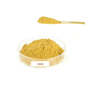 Chinese 100% Pure Food Grade Halal Certified Ligusticum Chuanxiong Hort Root Extract White Powder Drum