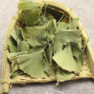 Chinese Bulk Natural Dried Ginkgo Biloba Leaf Tea Health Tea Yin Xing Ye Traditional Herbs