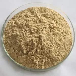 Chinese Bulk Price Luo Han Guo Monk Fruit Extract Powder Mogroside V