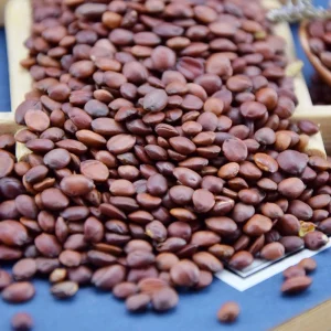 Chinese Crude Medicine Spina Date Seed and Suan Zao Ren for Relaxation and Sleep