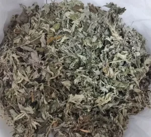 Chinese Dry Herbs Qing Hao Wormwood Leaves Dried Mugwort Leaves