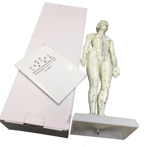 Chinese Factory Price Body Acupuncture Model Soft Flexible 48cm Famale Acupuncture Points Model for Teaching