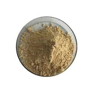 Chinese Factory Provide Quality Silymarin Extract Powder