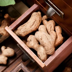 Chinese Ginger Rhizome for Herbal Medicine and Cooking