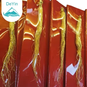 Chinese Herb Changbai Mountain Ginseng Lin Xia Shen