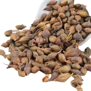 Chinese Herb Dried Lian Qiao Weeping Forsythia Suspensa Fruit for Sale