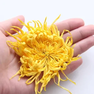 Chinese Herb Golden Silk Chrysanthemum Tea Dried Golden Silk Royal Chrysanthemum for Tea