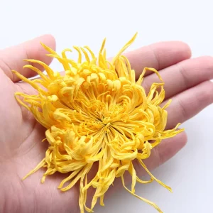 Chinese Herb Golden Silk Chrysanthemum Tea King Of Chrysanthemum Tea Dried Golden Silk Royal Chrysanthemum for Tea