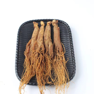 Chinese Herb Medicine Health Supplement 4 Years Old Red Ginseng Root