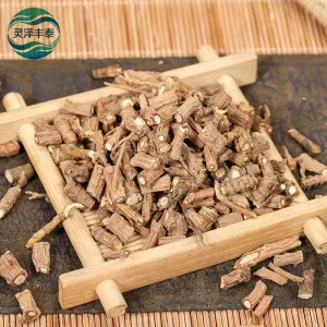 Chinese Herbal Chai Hu Bupleuri Radix P.E Powder Saikosaponins Bupleurum Root Extract Bupleurum chinense